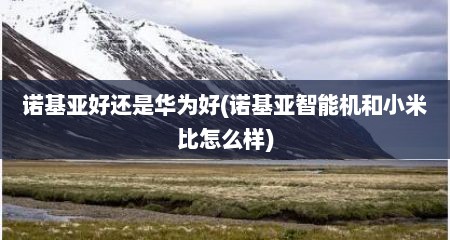 诺基亚好还是华为好(诺基亚智能机和小米比怎么样)