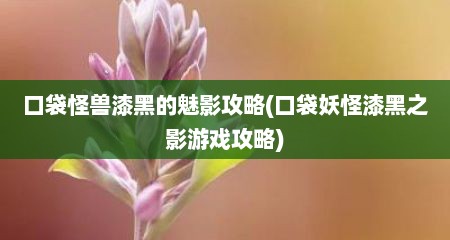 口袋怪兽漆黑的魅影攻略(口袋妖怪漆黑芝影游戏攻略)