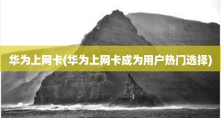 华为上网卡(华为上网卡成为用户热门选择)