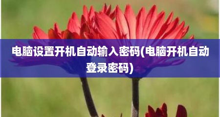 电脑设置开机自动输入密码(电脑开机自动登录密码)