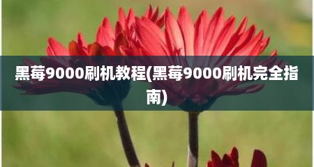 黑莓9000刷机教程(黑莓9000刷机完全指南)