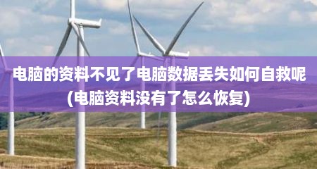 电脑的资料不见了电脑数据丢失如何自救呢(电脑资料没有了怎么恢复)