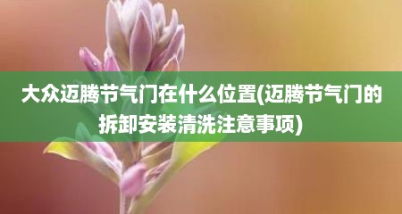 大众迈腾节气门在什么位置(迈腾节气门的拆卸安装清洗注意事项)