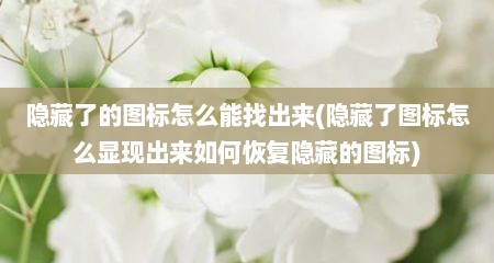 隐藏了的图标怎么能找出来(隐藏了图标怎么显现出来如何恢复隐藏的图标)