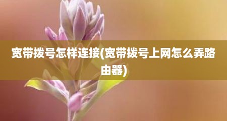 宽带拨号怎样连接(宽带拨号上网怎么弄路由器)