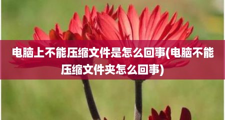 电脑上不能压缩文件是怎么回事(电脑不能压缩文件夹怎么回事)