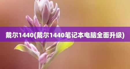 戴尔1440(戴尔1440笔记本电脑全面升级)