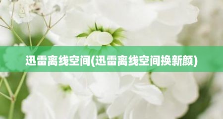 迅雷离线空间(迅雷离线空间换新颜)