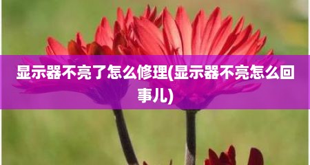 显示器不亮了怎么修理(显示器不亮怎么回事儿)