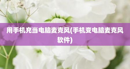 用手机充当电脑麦克风(手机变电脑麦克风软件)