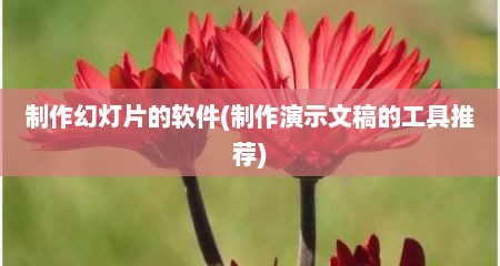 制作幻灯片的软件(制作演示文稿的工具推荐)