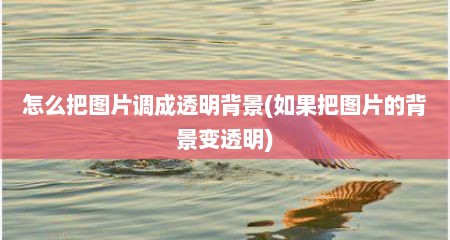 怎么把图片调成透明背景(如果把图片的背景变透明)