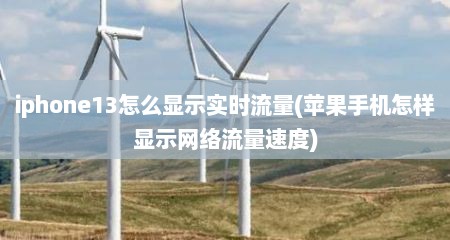 iphone13怎么显示实时流量(苹果手机怎样显示网络流量速度)