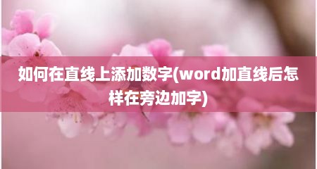 如何在直线上添加数字(word加直线后怎样在旁边加字)
