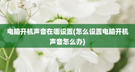 电脑开机声音在哪设置(怎么设置电脑开机声音怎么办)