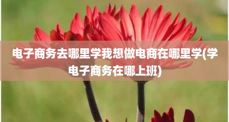电子商务去哪里学我想做电商在哪里学(学电子商务在哪上班)