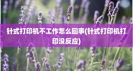 针式打印机不工作怎么回事(针式打印机打印没反应)