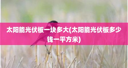 太阳能光伏板一块多大(太阳能光伏板多少钱一平方米)