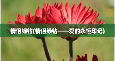 情侣绿钻(情侣绿钻——爱的永恒印记)