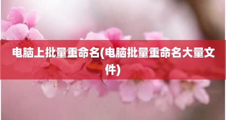 电脑上批量重命名(电脑批量重命名大量文件)