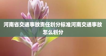 河南省交通事故责任划分标准河南交通事故怎么划分