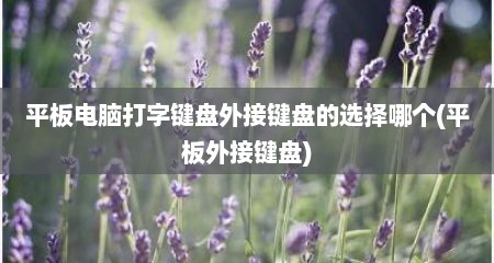 平板电脑打字键盘外接键盘的选择哪个(平板外接键盘)