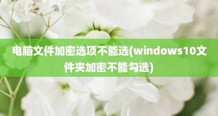 电脑文件加密选项不能选(windows10文件夹加密不能勾选)