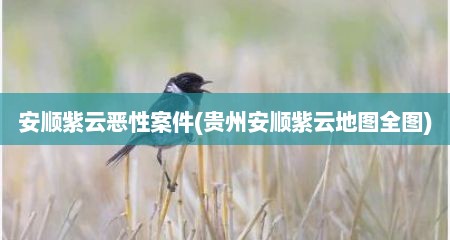 安顺紫云恶性案件(贵州安顺紫云地图全图)