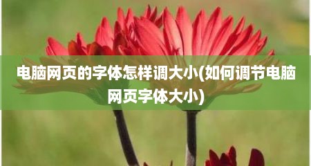 电脑网页的字体怎样调大小(如何调节电脑网页字体大小)