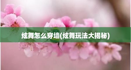 炫舞怎么穿墙(炫舞玩法大揭秘)