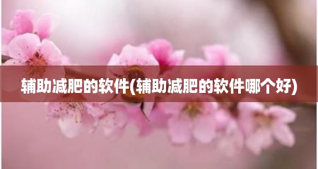 辅助减肥的软件(辅助减肥的软件哪个好)