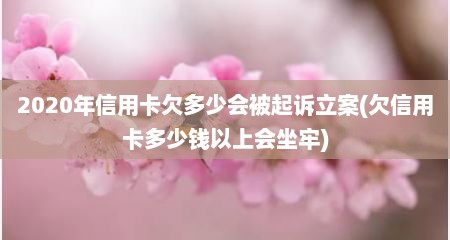2020年信用卡欠多少会被起诉立案(欠信用卡多少钱以上会坐牢)