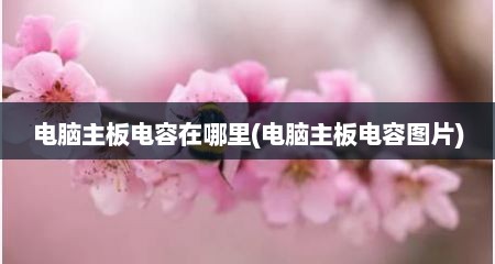 电脑主板电容在哪里(电脑主板电容图片)