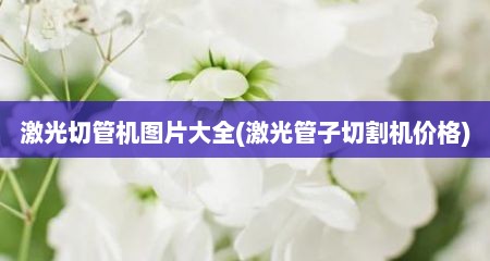 激光切管机图片大全(激光管子切割机价格)