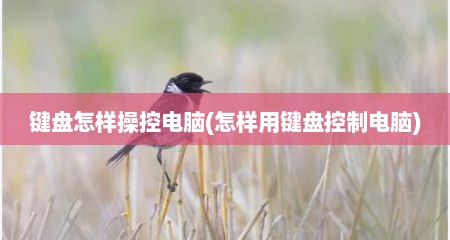 键盘怎样操控电脑(怎样用键盘控制电脑)