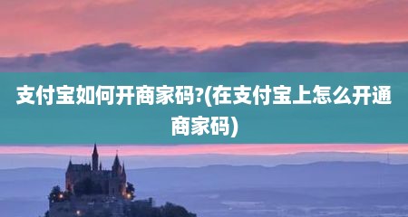 支付宝如何开商家码?(在支付宝上怎么开通商家码)