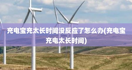 充电宝充太长时间没反应了怎么办(充电宝充电太长时间)
