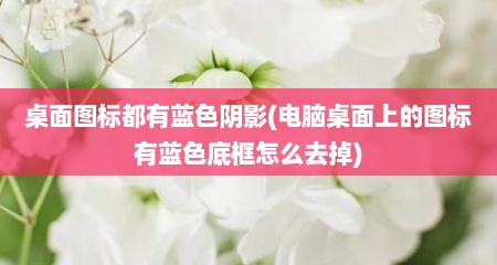 桌面图标都有蓝色阴影(电脑桌面上的图标有蓝色底框怎么去掉)
