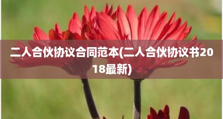 二人合伙协议合同范本(二人合伙协议书2018最新)