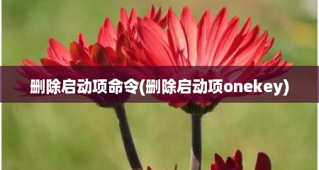 删除启动项命令(删除启动项onekey)
