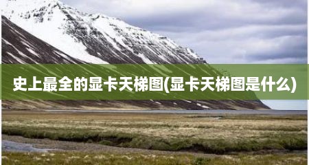 史上最全的显卡天梯图(显卡天梯图是什么)