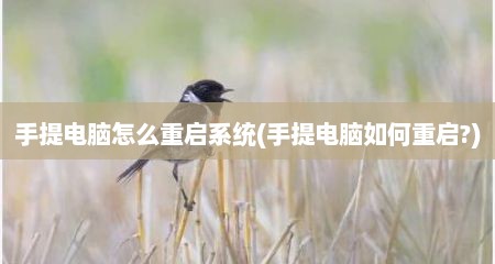 手提电脑怎么重启系统(手提电脑如何重启?)