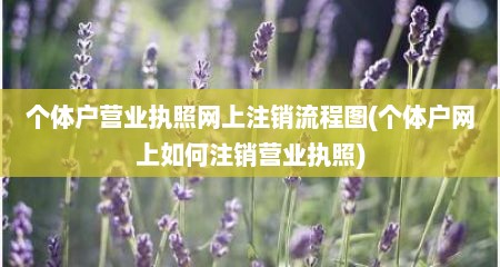 个体户营业执照网上注销流程图(个体户网上如何注销营业执照)