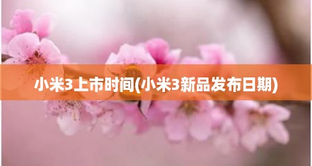 小米3上市时间(小米3新品发布日期)