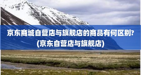 京东商城自营店与旗舰店的商品有何区别?(京东自营店与旗舰店)
