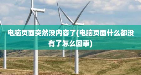 电脑页面突然没内容了(电脑页面什么都没有了怎么回事)