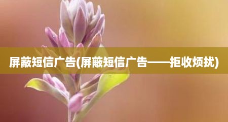 屏蔽短信广告(屏蔽短信广告——拒收烦扰)