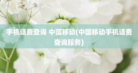 手机话费查询 中国移动(中国移动手机话费查询服务)