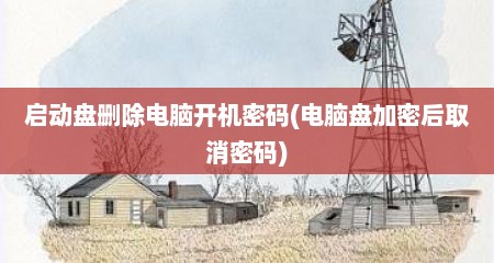 启动盘删除电脑开机密码(电脑盘加密后取消密码)