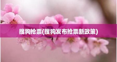 搜狗抢票(搜狗发布抢票新政策)